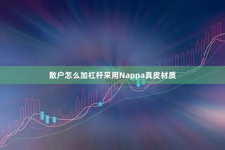 散户怎么加杠杆采用Nappa真皮材质