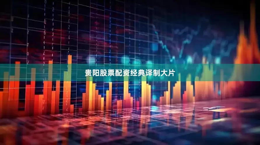 贵阳股票配资经典译制大片