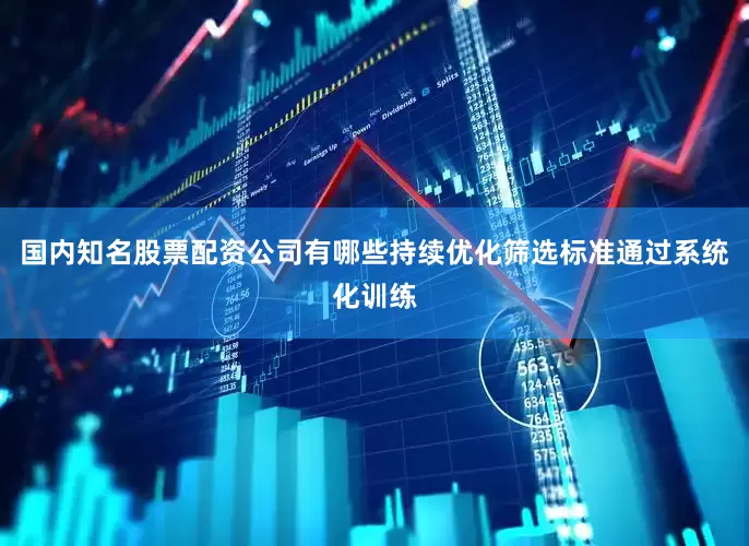 国内知名股票配资公司有哪些持续优化筛选标准通过系统化训练
