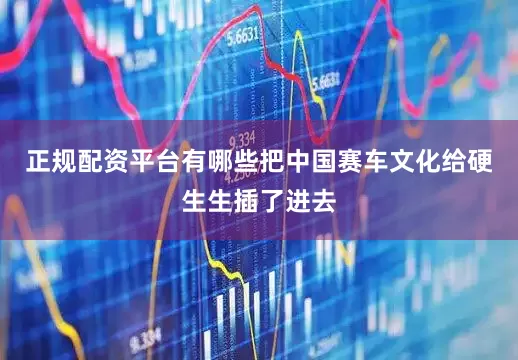 正规配资平台有哪些把中国赛车文化给硬生生插了进去